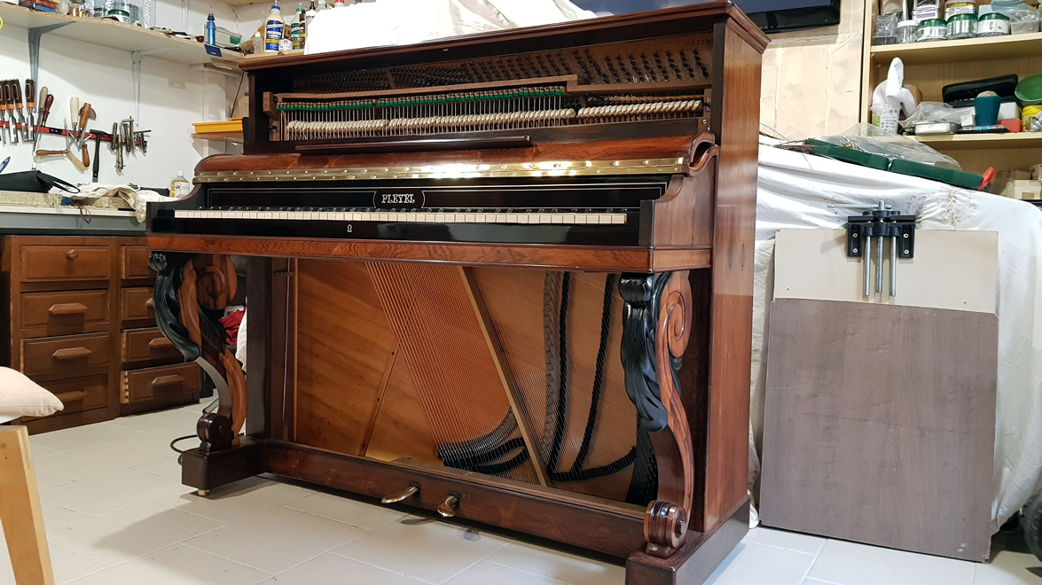 PLEYEL PP6 Palissandre de Rio 1872