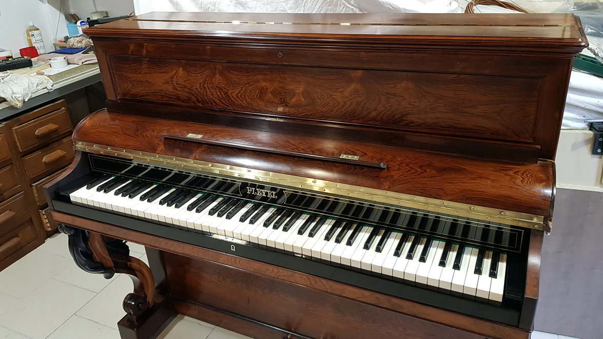 PLEYEL PP6 Palissandre de Rio 1872