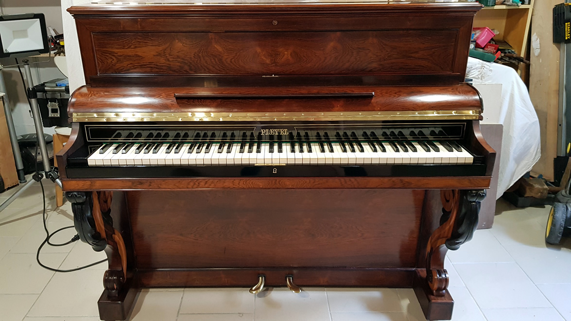 PLEYEL PP6 Palissandre de Rio 1872