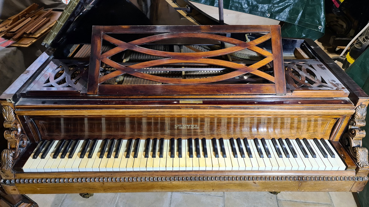 Piano à queue PLEYEL modèle riche palissandre de RIO 1846