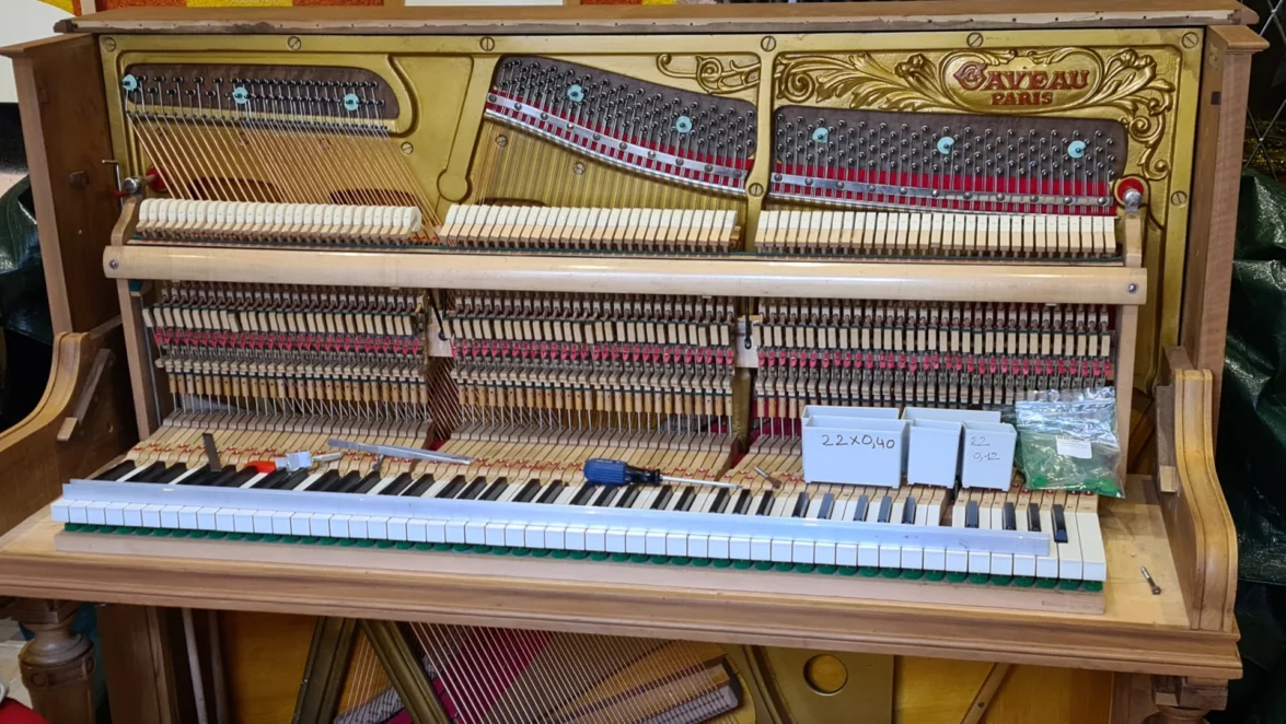 dressage-du-clavier-avec-les-mouches-papier