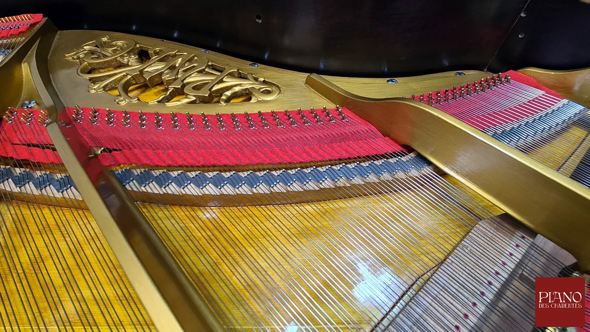 Vue d'ensemble des cordes blanches neuves sur un piano ancien PLEYEL