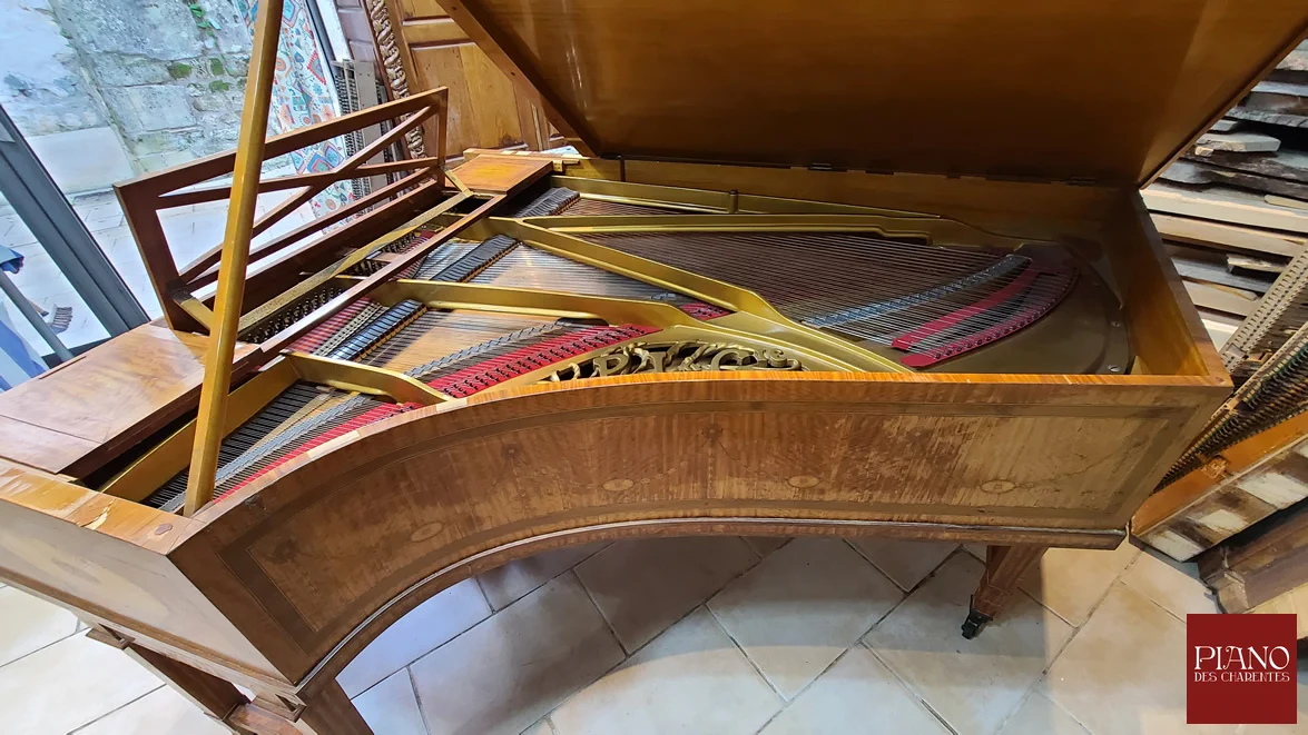 PLEYEL Style Adam marqueterie citronnier de Ceylan 1912