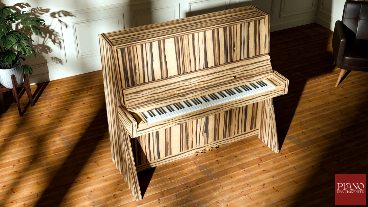 Luxury Piano Design Zebrano Zingana