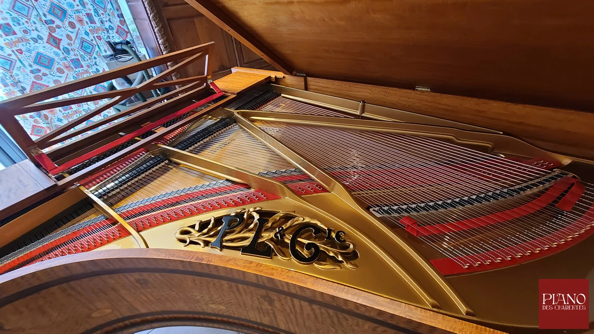 PLEYEL Adam Style citronnier de Ceylan 1912