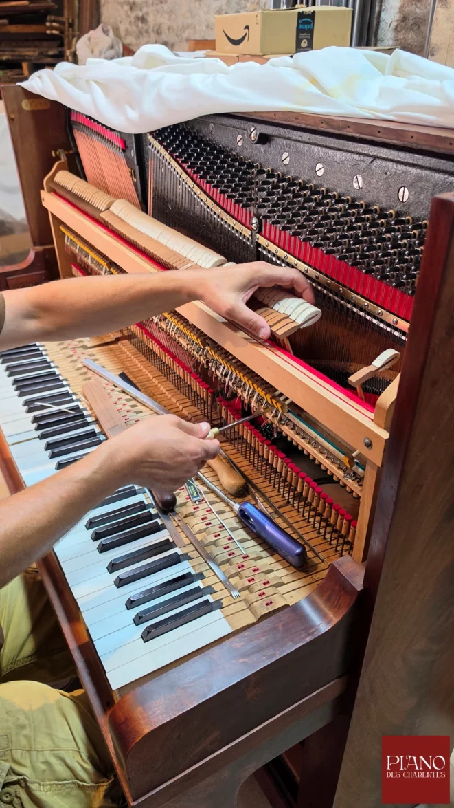 pleyel 1947 regalge des marteaux